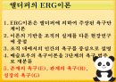 지휘와 리더십 이론 15페이지