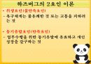 지휘와 리더십 이론 24페이지