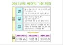 2015년 예산확정에 대한 분석 및 문제점(개선 및 대책) 3페이지
