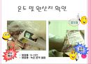 검수(HACCP관리특론, 식품검수, 검수중점관리) PPT, 파워포인트 10페이지