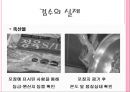 검수(HACCP관리특론, 식품검수, 검수중점관리) PPT, 파워포인트 13페이지