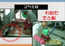 교차오염(식품위생, HACCP실무, 공정별위생관리) PPT, 파워포인트 8페이지