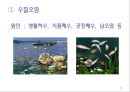 음식물쓰레기(음식물쓰레기특징, 처리방법, 환경오염, 줄이는방법) PPT, 파워포인트 12페이지