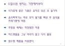 음식물쓰레기(음식물쓰레기특징, 처리방법, 환경오염, 줄이는방법) PPT, 파워포인트 13페이지