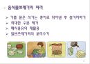 음식물쓰레기(음식물쓰레기특징, 처리방법, 환경오염, 줄이는방법) PPT, 파워포인트 18페이지