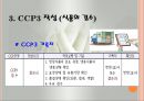 CCP 공정별 기록지 작성법(HACCP관리특론) PPT, 파워포인트, 프리젠테이션 10페이지