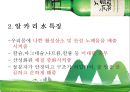 처음처럼 기업분석과 경쟁사(참이슬)분석및 처음처럼 마케팅 SWOT,STP,4P전략 분석 PPT 7페이지