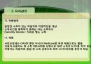 미국, 스웨덴, 독일 연금제도 6페이지