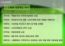 미국, 스웨덴, 독일 연금제도 13페이지