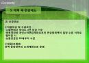 미국, 스웨덴, 독일 연금제도 19페이지