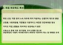 미국, 스웨덴, 독일 연금제도 21페이지