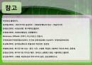 미국, 스웨덴, 독일 연금제도 30페이지