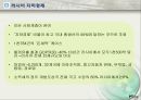 러시아 동유럽 지역연구 .PPT 11페이지