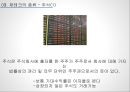재테크 발표 자료 (이색 재테크) [재테크란 정의와 필요성 및 종류].pptx 7페이지