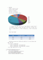 노인 문화 복지의 실태와 사례분석을 통한 대안모색  17페이지
