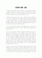 정치에 대한 고찰 레포트 1페이지