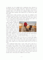 북수단/남수단의 갈등의 원인, 실태, 대책에 대한 정치지리학적 분석 - 원인 (자원, 역사, 종교), 실태 - 현재진행형의 갈등 (국가 간, 국가 내), 대책 - 단순한 원조를 넘어선 고민의 필요성 6페이지