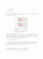 아들딸 가려낳는 과학적인 방법들 - 아들·딸 가려낳기 (성의 결정, X정자와 Y정자의 특징, 셰틀즈 박사의 ‘타이밍법’) 8페이지
