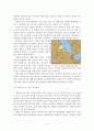 『세계지리의 관점에서 바라 본 아프리카의 정치』 우리는 새로운 세상에서 살고 있다 - 아프리카 정치 발표 보고서 4페이지