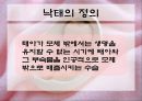 인공임신중절(낙태).PPT  4페이지