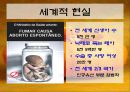 인공임신중절(낙태).PPT  7페이지