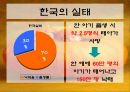 인공임신중절(낙태).PPT  8페이지