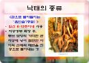 인공임신중절(낙태).PPT  17페이지