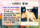 인공임신중절(낙태).PPT  20페이지