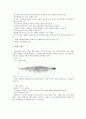 [음성장애세미나] 03장 음성 음향 분석 개론 10페이지