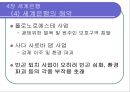 불경한 삼위일체 - 국제통화기금 IMF, 세계은행, 세계무역기구 WTO는 세계를 어떻게 망쳐왔나.ppt 21페이지