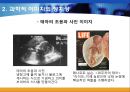 과학적 이미지와 과학적 보기 (과학적 이미지의 활용, 과학적 이미지와 정치성, 유전과학과 몸).ppt 9페이지