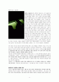 그리스도인의 시기심 극복 방법 약3:14-16(야고보 3장 14절~16절)을 근거로 [기독교, 성서] 11페이지