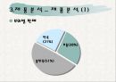 교촌치킨의 마케팅 전략 분석 PPT  11페이지