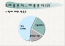 교촌치킨의 마케팅 전략 분석 PPT  12페이지