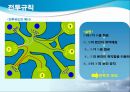새로운 형식의 전투규칙 제공을 통한 유료 아이템 판매 증대 방안 (환경분석, SWOT분석, 시장세분화, 타겟팅, 포지셔닝, 전투규칙).ppt 26페이지