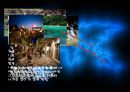 자연을 접하고 보고 즐기는 에코 투어리즘 ECO-TOURISM.pptx 5페이지