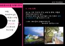 자연을 접하고 보고 즐기는 에코 투어리즘 ECO-TOURISM.pptx 16페이지