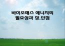 에너지 - 바이오매스 에너지의 필요성과 장단점 1페이지