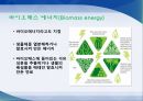 에너지 - 바이오매스 에너지의 필요성과 장단점 6페이지