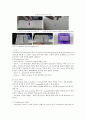 실험보고서 - Plasmid DNA Purification 2페이지