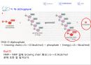 왓슨과 크릭의 논문을 읽고 - DNA의 구조 8페이지