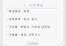 [안전관리] 대구 지하철 화재참사, 무엇이 문제인가 (사건 개요, 원인 분석, 화재참사 대책방안, 복구현황, 보완 사항).ppt 6페이지