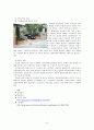 교통행정론 - 불법 주차 문제 6페이지