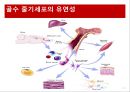 [생명공학] 줄기세포치료제에 관해서.pptx 9페이지