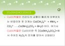 무기소재 - 코발트[Co(NH3)4CO3]NO3 착물 합성 실험 5페이지