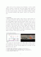 GM 쉐보레의 한국시장 진출전략분석과 GM 쉐보레 마케팅 SWOT,S TP,4P전략 분석, 향후전략 제안 레포트 8페이지