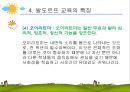 발도르프 교육(Waldorfpädagogik)에 대한 건강가정 프로그램 모형분석.ppt 10페이지