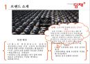딤채(Dimchae) 기업분석과 SWOT분석 및 위니아 딤채 마케팅전략 사례연구, 딤채 새로운 마케팅전략 제안.pptx 5페이지