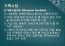 복지국가유형별 출산정책과 한국의 출산정책의 지향점 모색 연구 - 미국, 프랑스, 독일, 스웨덴 사례를 중심으로  11페이지