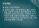 복지국가유형별 출산정책과 한국의 출산정책의 지향점 모색 연구 - 미국, 프랑스, 독일, 스웨덴 사례를 중심으로  39페이지